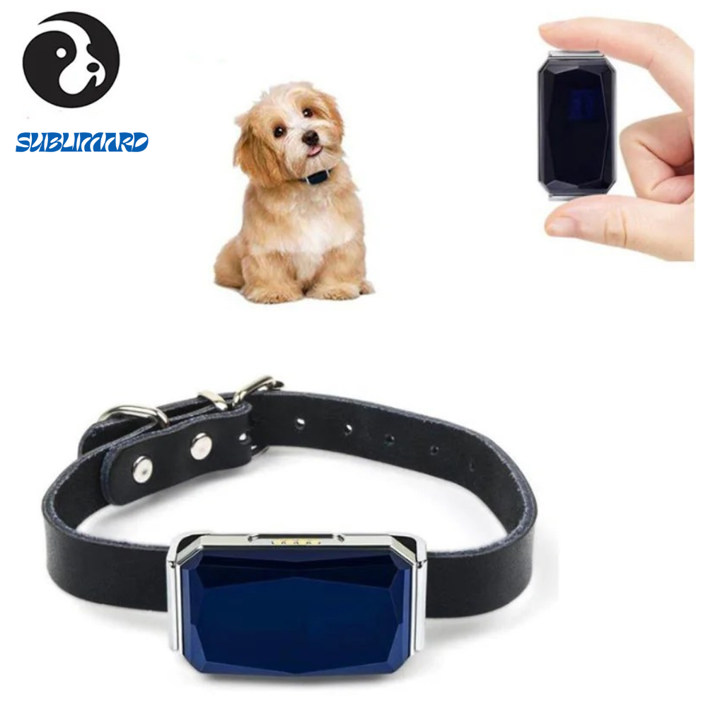 Collier GPS pour chiens SUBLIMARD