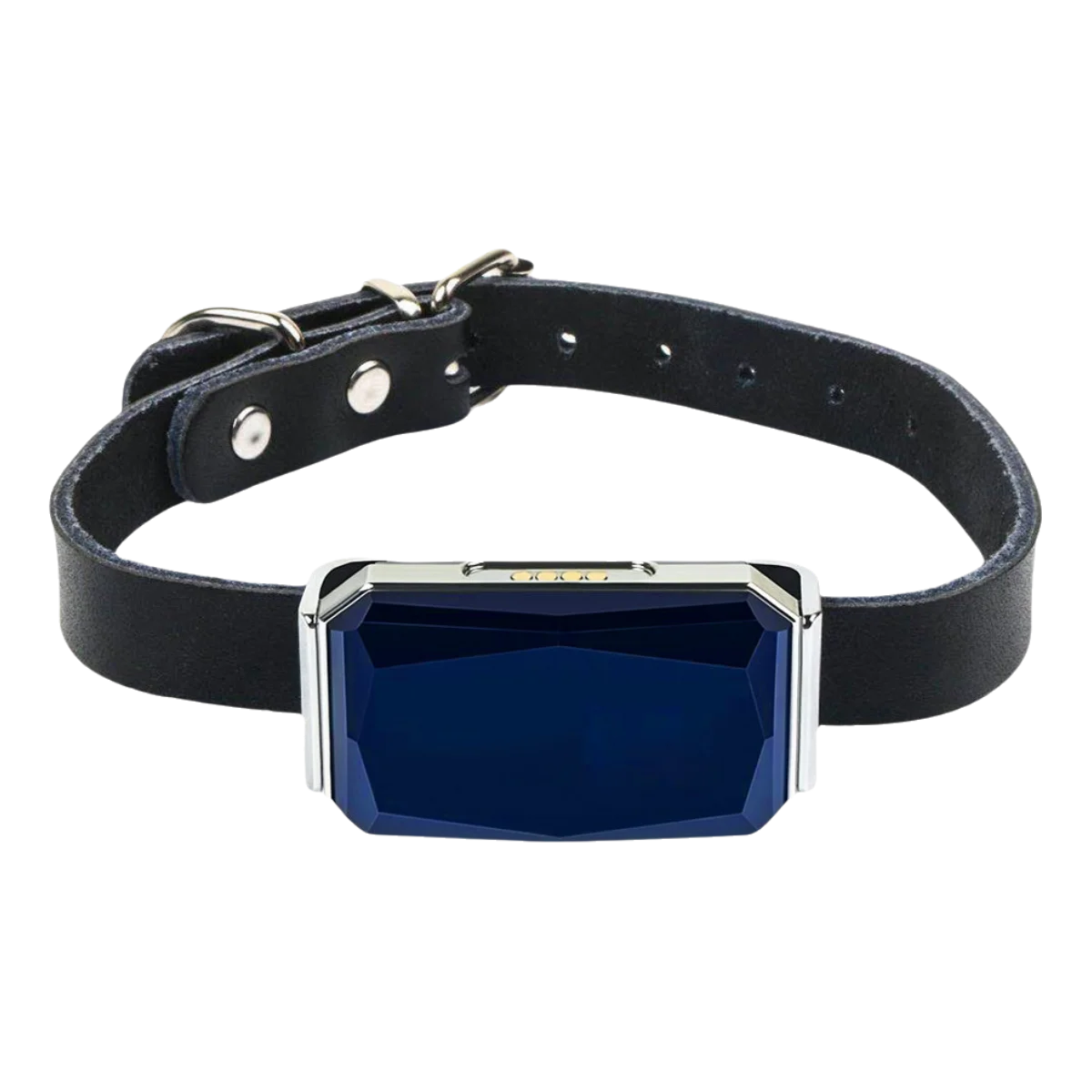 Collier GPS pour chiens SUBLIMARD