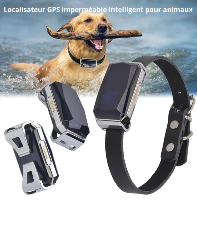Collier GPS pour chiens SUBLIMARD