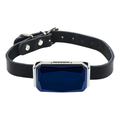 Collier GPS pour chiens SUBLIMARD
