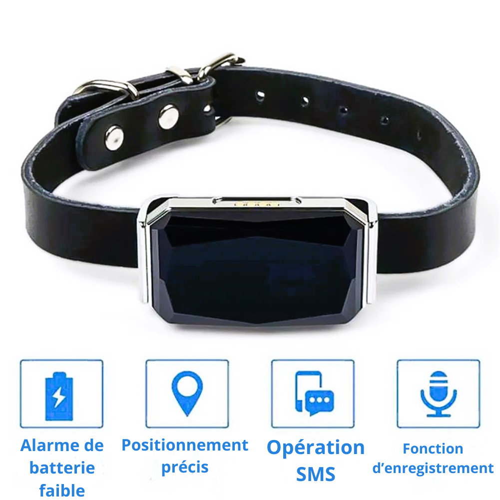 Collier GPS pour chiens SUBLIMARD