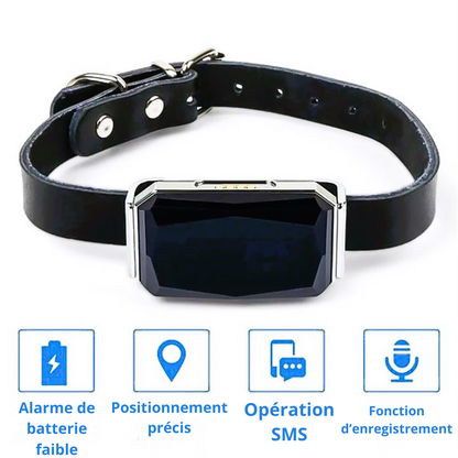 Collier GPS pour chiens SUBLIMARD